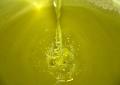 The extra virgin olive oil produced for third parties