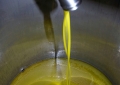Conservation and decanting olive oil after pressing